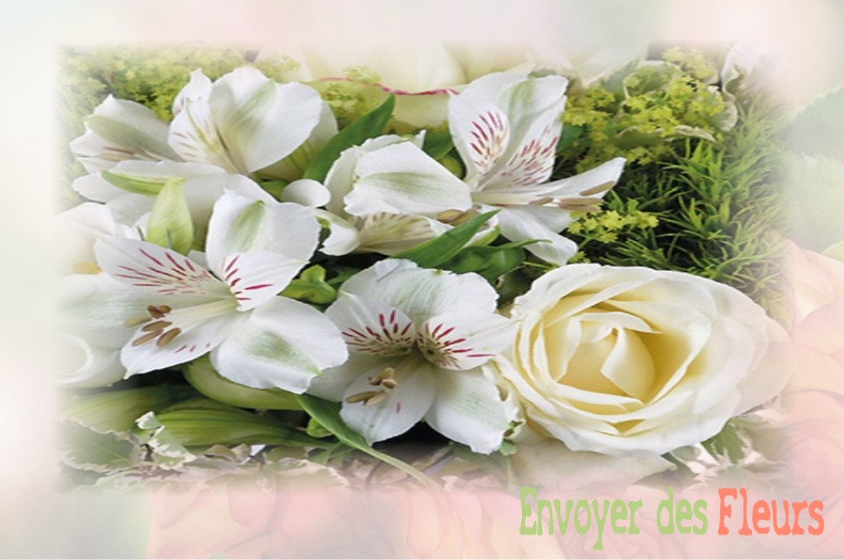 envoyer des fleurs à à VILLIERS-LOUIS
