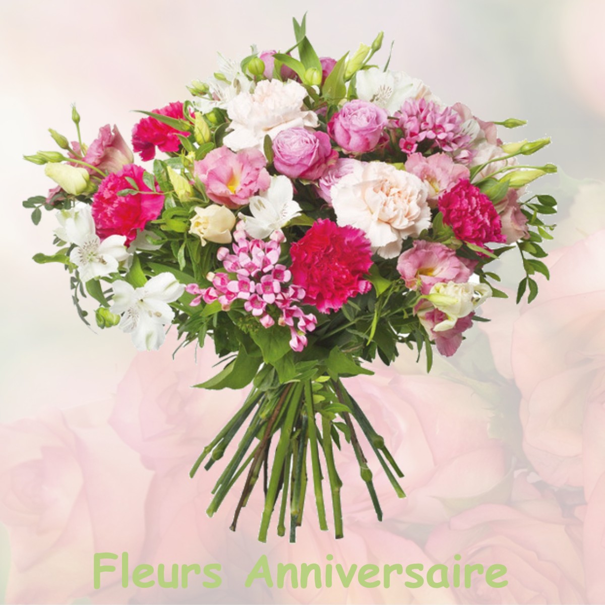 fleurs anniversaire VILLIERS-LOUIS